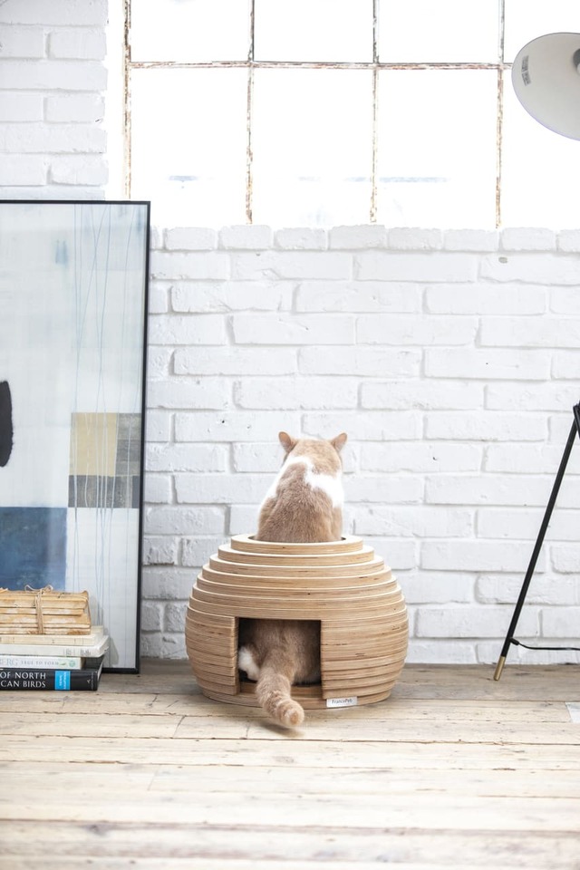 【フランスペット】「ねこハウス まり」