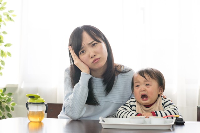 イヤイヤ期 ぬいぐるみが 魔の２歳 をサポート ママと子に寄り添う 次世代子育てアイテム 1 2 ハピママ