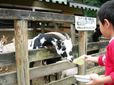 那須千本松牧場の「動物ふれあい広場」