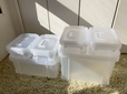 【ニトリ 運べるコンテナボックス】スリムS：幅24.5×奥行17.2×高さ9cm／スリムL：幅24.5×奥行17.2×高さ26cm／ワイドM：幅38.6×奥行24.6×高さ17.3cm／ワイドL：幅38.6×奥行24.6×高さ26cm