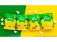 ピカチュウがピュレグミになって初登場！