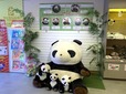 売店横にはパンダと一緒に記念写真が撮れるスポットも！