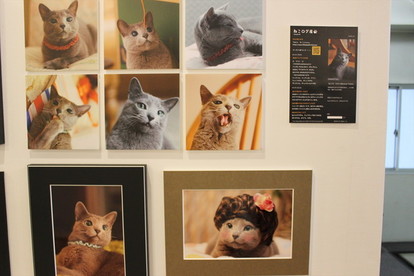 数百匹の“猫”がお出迎え! 魅惑の写真展「ねこログ展」に行ってきた（写真 17/36） - ヤバチケ