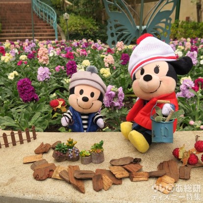 img_862fc20e0e58c3efae3e516442