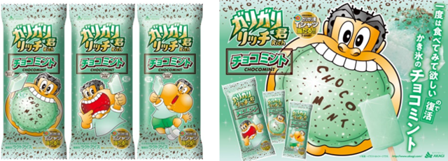 ガリガリ君リッチチョコミント