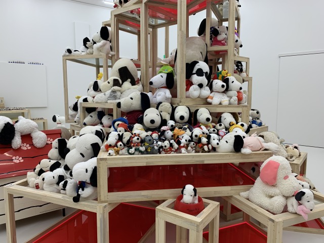 全国から寄贈されたぬいぐるみたち