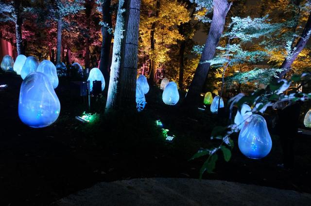 『チームラボ どんぐりの森の呼応する生命』