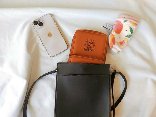 ミニポーチとしても使える【猫のダヤン スマホショルダーバッグ】