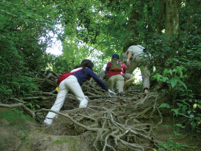 三徳山三佛寺 投入堂