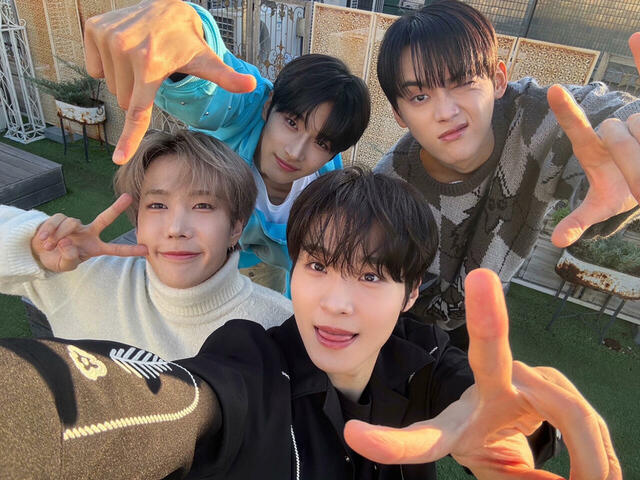 メンバーセルカ