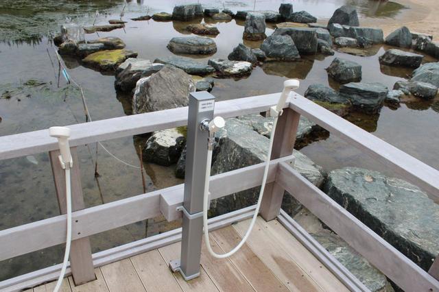 肌の上の海水が乾いて、痒い思いをせずにすみます