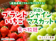 ブランドいちご＆蔵出しシャインマスカット食べ放題
