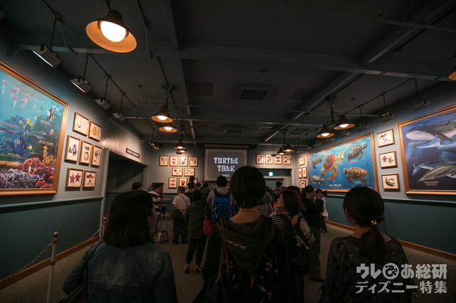 タートル・トーク｜東京ディズニーシー