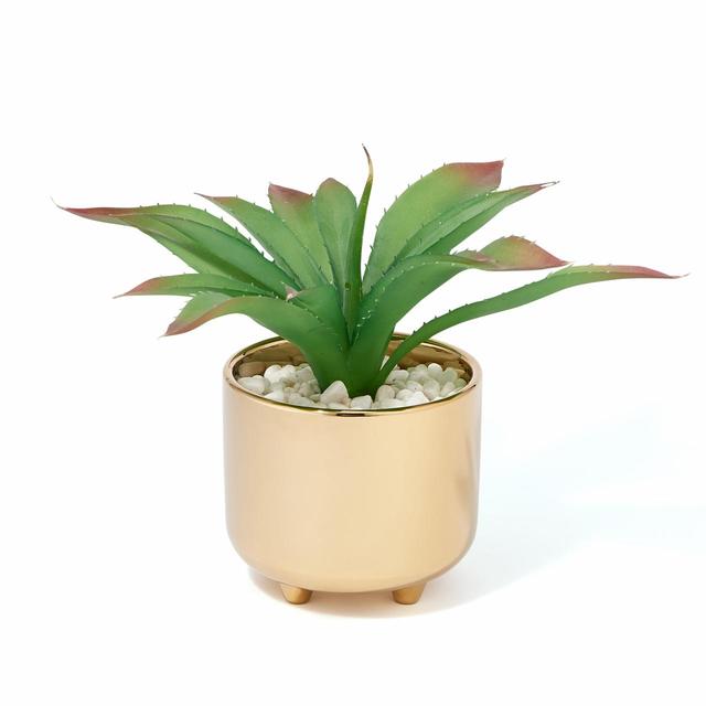 【Francfranc（フランフラン）】ポット付グリーン アガベ S