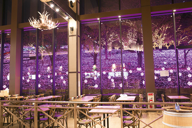 さがみ湖イルミリオン（神奈川／相模湖）　イルミネーションが一望できるレストラン「Wild Dining」