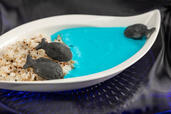 「マリンブルーカレー ユキちゃんのナンなん？」イメージ【アクアリウムデザートビュッフェ 2026 ～Friends of the Sea～】