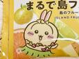 今回の映画でも大活躍だったうさぎ。かわいい!