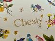 表紙の中央には「Chesty」のブランドロゴがゴールドで箔押しされています♪