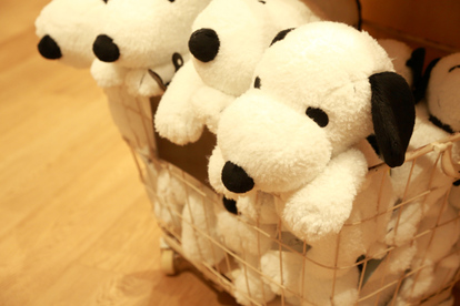 img_88ad5b0442cb6c29f97697dc03