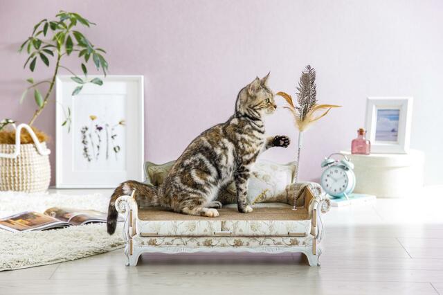 交換できる爪とぎソファ花柄　使用イメージ