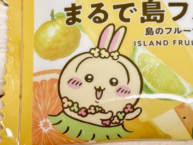 今回の映画でも大活躍だったうさぎ。かわいい！