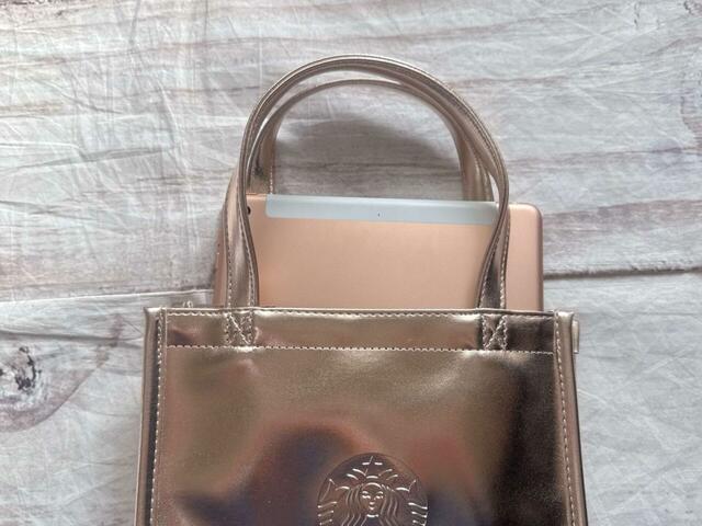 なんとiPadも収納可能！