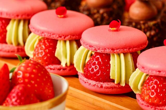 「マカロンピスターシュ」<期間:2026年2月14日(土)・15日(日)>【【2日間限定】苺×チョコレートが主役の“バレンタイン限定スイーツブッフェ”が「ホテルアソシア高山リゾート」で開催されます!】