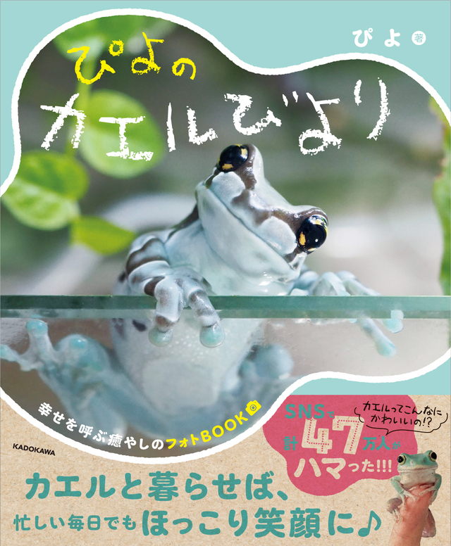 書影【『ぴよのカエルびより』著者：ぴよ】