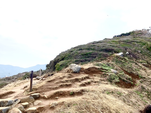 芥屋展望台までは「糸島 トトロの森」を潜り抜けて歩く