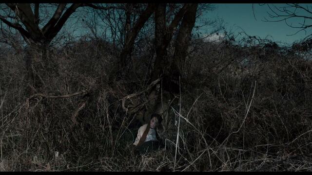 『スイート・マイホーム』 ©2023『スイート・マイホーム』製作委員会 ©神津凛子／講談社　配給:日活・東京テアトル  9月1日全国公開