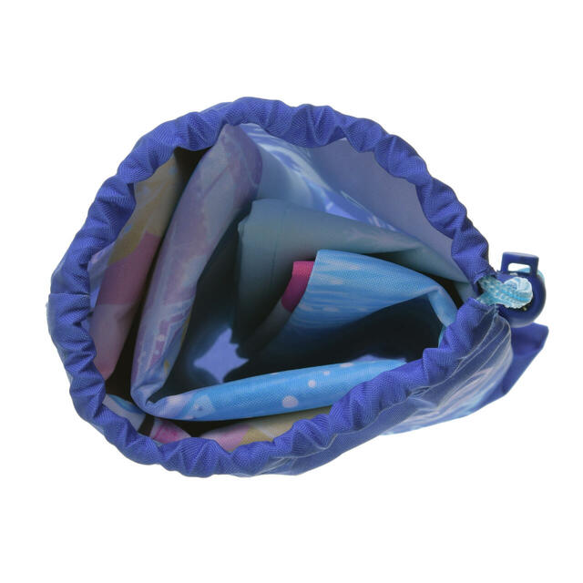 アナ＆エルサ レジャーシート ポーチ入り スケート DISNEY LEISURE TIME 2,000円