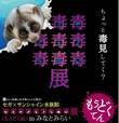 セガ×サンシャイン水族館  「毒毒毒毒毒毒毒毒毒展」（もうどく展）in みなとみらい 