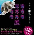 セガ×サンシャイン水族館  「毒毒毒毒毒毒毒毒毒展」（もうどく展）in みなとみらい 