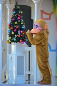 東京ディズニーランド「スーパードゥーパー・ジャンピンタイム」※写真はクリスマスバージョン