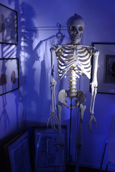 美しいけど怖い!「医療器具展」の展示物