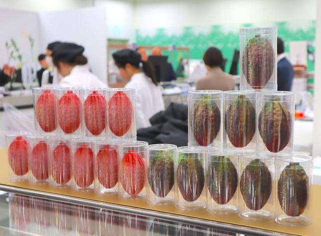 「帝国ホテル」左・カカオルビー　右：カカオショコラ（小）各1601円（税込）