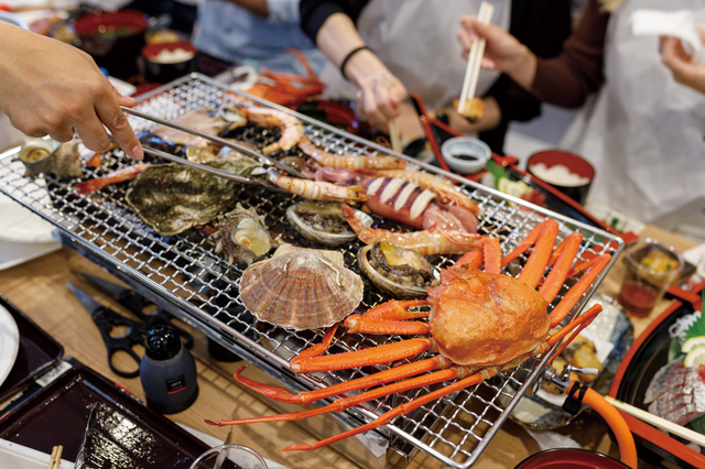 HATONOVA三光丸 境港