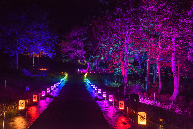 アパリゾート上越妙高イルミネーション2016