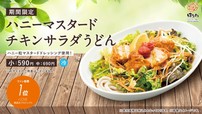 ハニーマスタードキチンサラダうどん