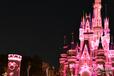 東京ディズニーランド「ディズニー・パルパルーザ“ミニーのファンダーランド”」ファンダーナイト(キャッスル環境演出)