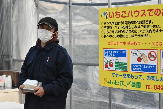 イチゴの摘み方を教えてもらう