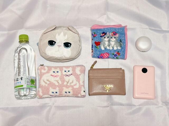 これだけの荷物が収納可能！