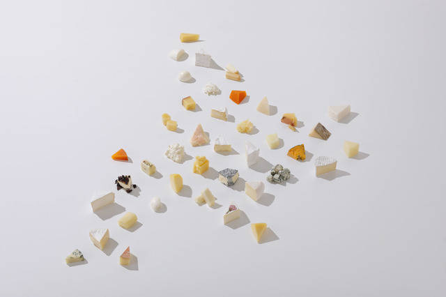 チーズの祭典 「北海道地チーズ博2019」