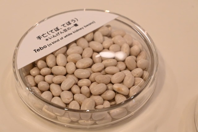 【とらや特別展】いんげん豆の一種「手亡」