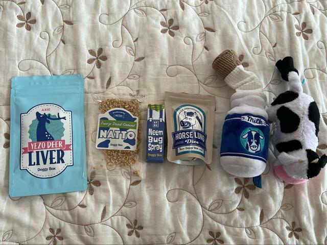 【Doggy Box 中身全部】並べるとこんな感じになっています