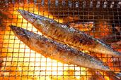 秋の味覚「サンマ」
