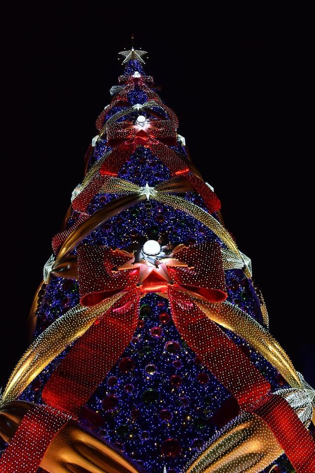 一生に一度は見たいクリスマスツリー|ユニバーサル・ワンダー・クリスマス|ユニバーサル・スタジオ・ジャパン