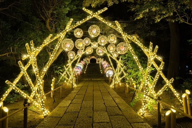 【よみうりランド】HANA・BIYORI内　2023年度HANAあかり(イメージ)