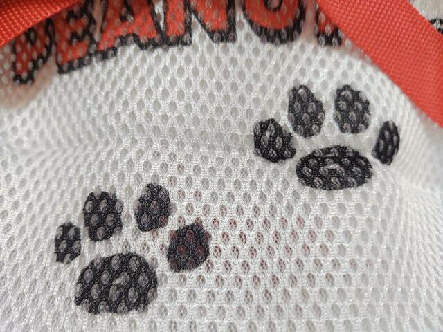 スヌーピーの足跡イラストがキュート