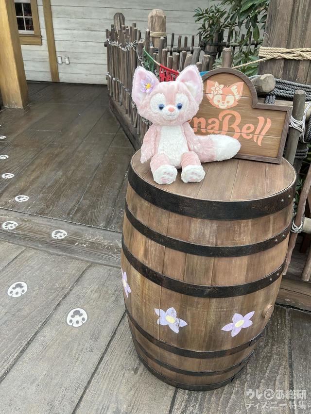 リーナ・ベルデコレーション